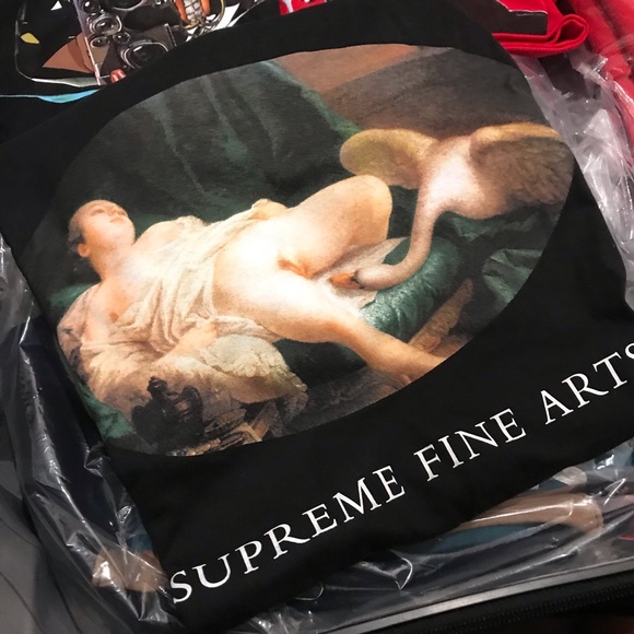 🔥NWT Supreme swan tee🔥 - Picture 3 of 3